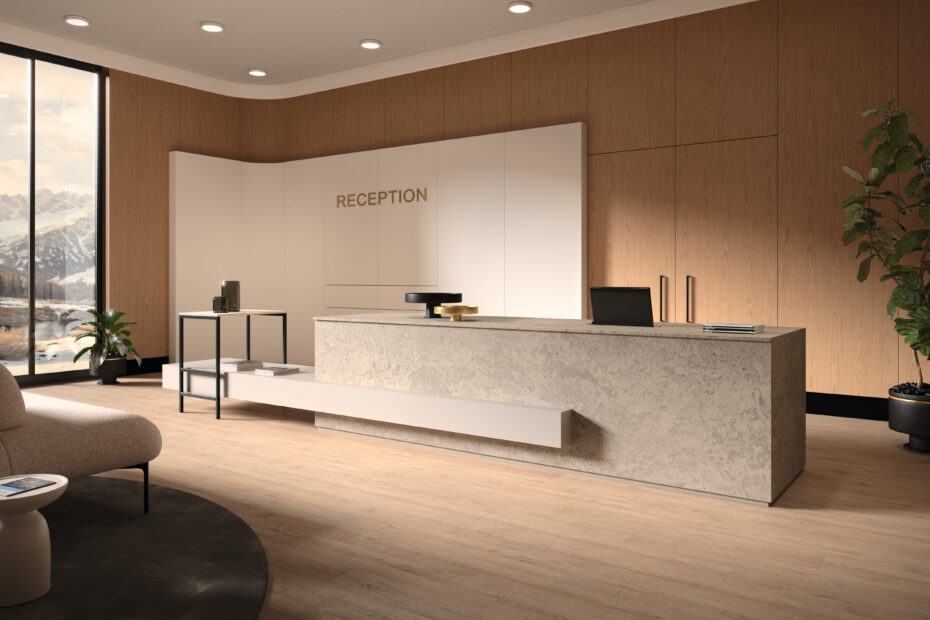 Entrance;application;Lobby;Rendering;reception
